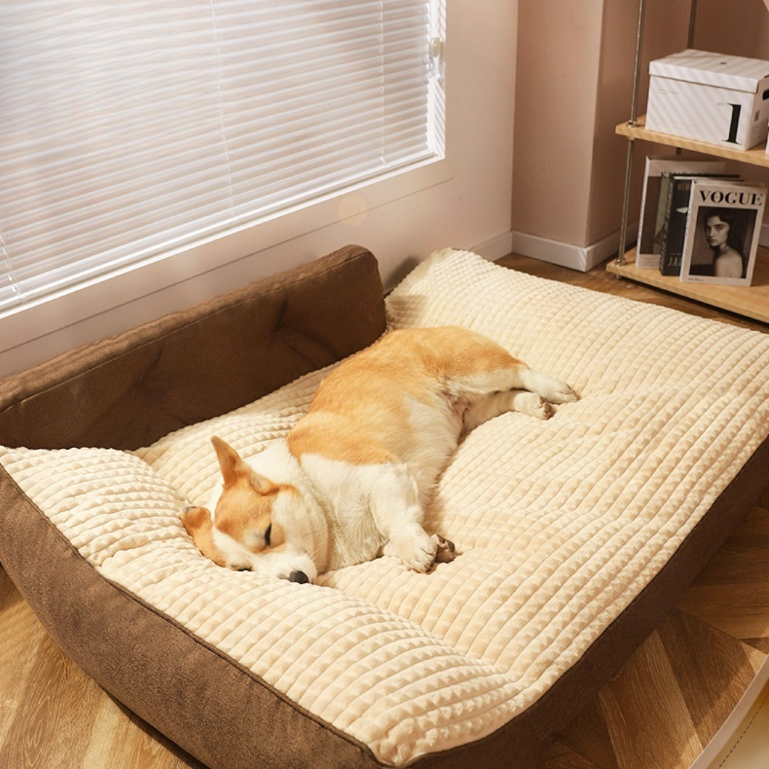 PawLounge™ Wasbare Hondenmand - Comfortabel en Duurzaam Bed voor Honden